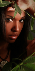 Capture d’écran 2017-03-22 à 22.37.40