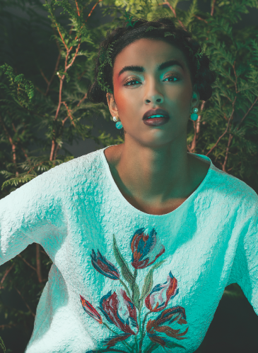 capture-decran-2016-11-25-a-18-13-43